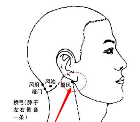 翼風穴|翳風穴位置 